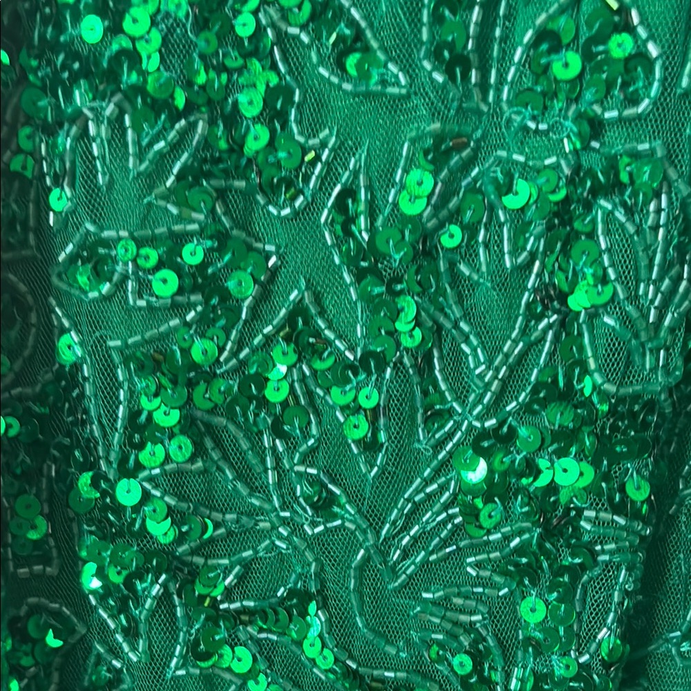 Primavera Couture Green Sequin Maxi Gown - Picture 4 of 6
